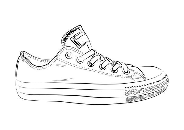 Zapatillas dibujadas a mano, zapatos de gimnasio. Ilustración vectorial Keds
 - Vector, imagen