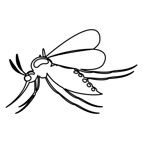 Design isolato e silhouette zanzara
 - Vettoriali, immagini