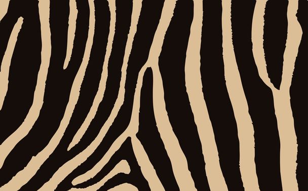 Színes állati bőr textúrák Zebra. Vektor illusztráció Wild Pattern, Eps 10 - Vektor, kép