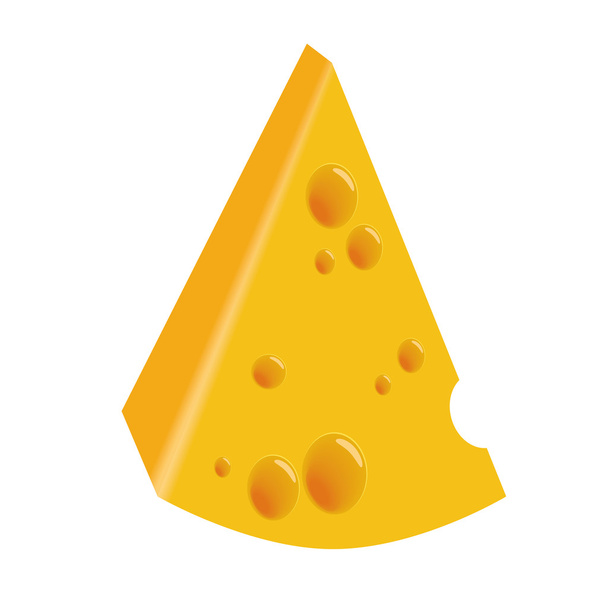 Piece of cheese - Vector, imagen