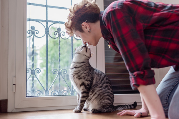 woman and her european cat  - 写真・画像