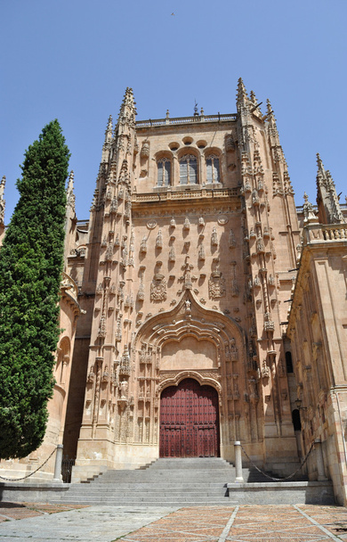 Salamanca Katedrali - Fotoğraf, Görsel