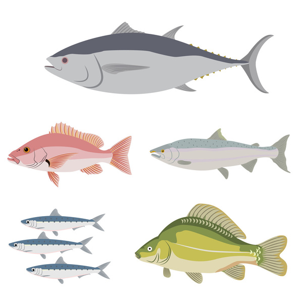 Различие видов рыб
 - Вектор,изображение