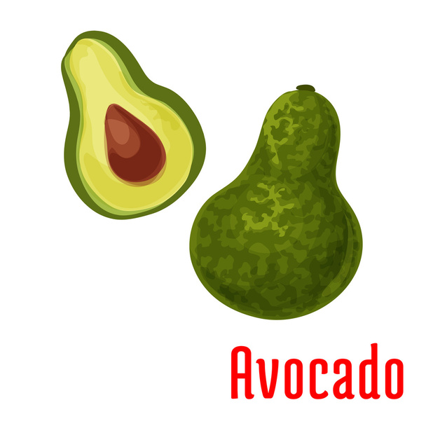Avocado fruit vector color icon - ベクター画像