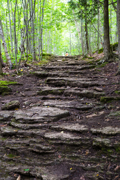 rock steps on the Bruce trail - Foto, imagen