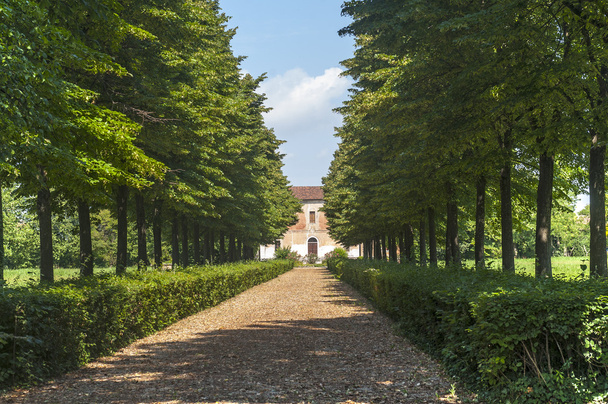 Villa and park near Mantua - 写真・画像