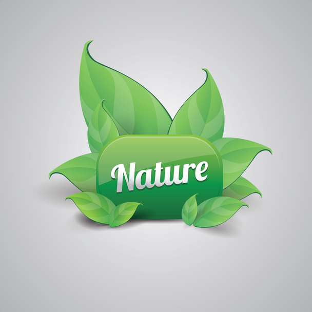 自然緑のボタン - ベクター画像