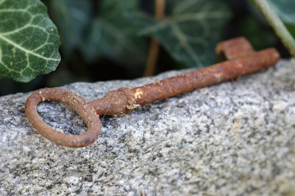 Verloren oude roestige belangrijke liggend op de steen - ondiepe scherptediepte - Foto, afbeelding