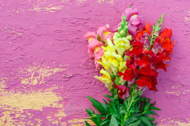 グラジオラスの美しい花束  - 写真・画像