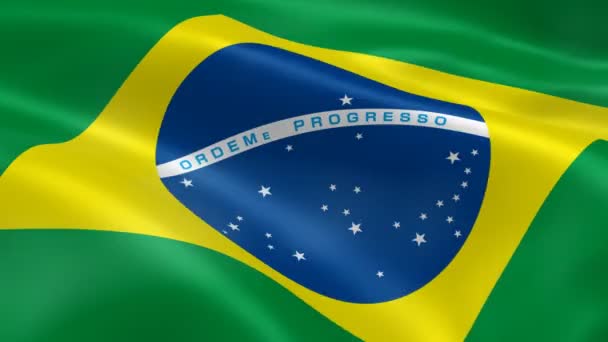 Braziliaanse vlag in de wind - Video