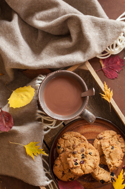 горячий шоколад согревающий напиток шерсть бросать уютные осенние листья печенья
 - Фото, изображение