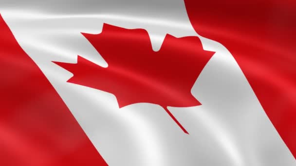 Канадський прапор на вітрі - Кадри, відео