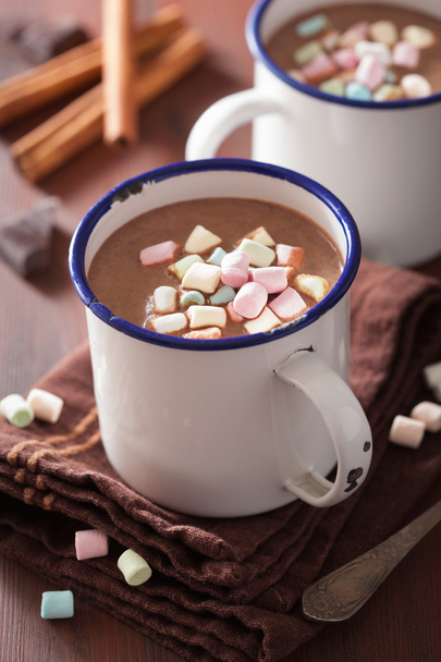 hot chocolate with mini marshmallows cinnamon winter drink - Photo, Image