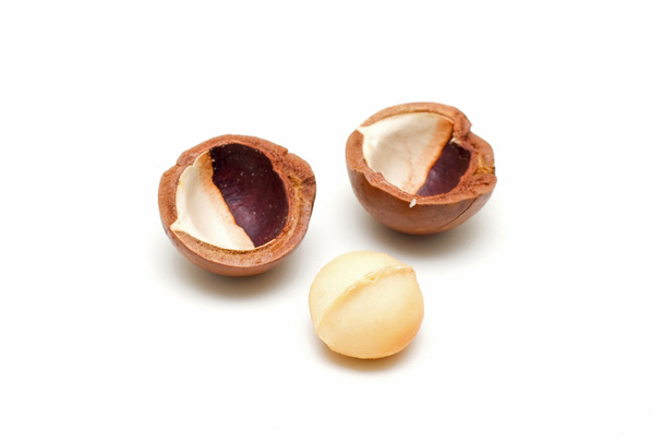 Nueces de macadamia aisladas - Foto, imagen
