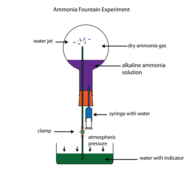 Ammoniak-Brunnen-Experiment zeigt Löslichkeit von Ammoniakgas - Vektor, Bild