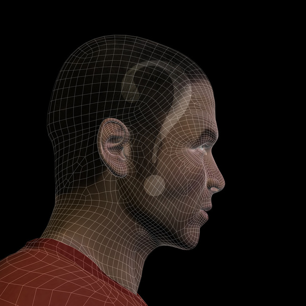  wireframe human head  - Photo, Image