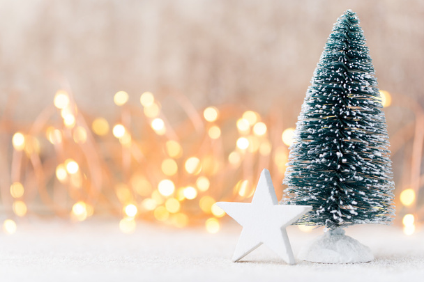 Christmas tree with bokeh wall background. - Photo, Image