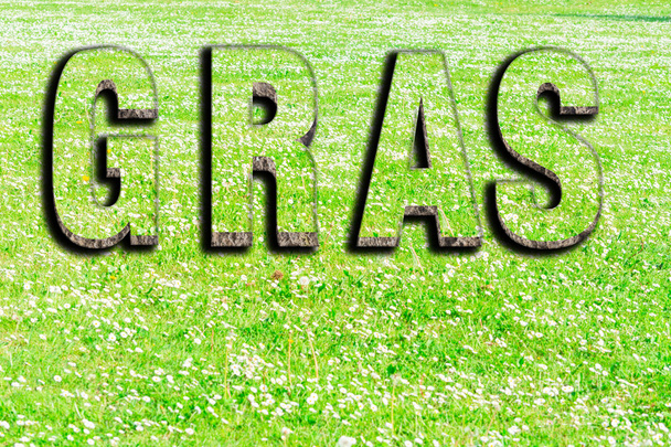 The word grass from green grass texture with shadows - Photo, Image