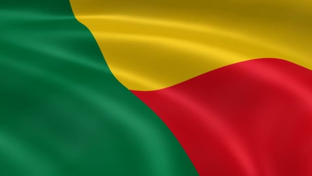 Benini zászló a szélben - Felvétel, videó