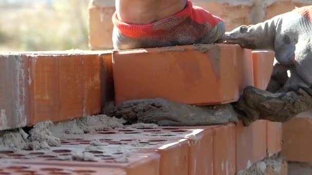 Die Hände des Bauherrn legten einen Zementmörtel auf. Hand macht das Mauerwerk aus Ziegeln. - Filmmaterial, Video