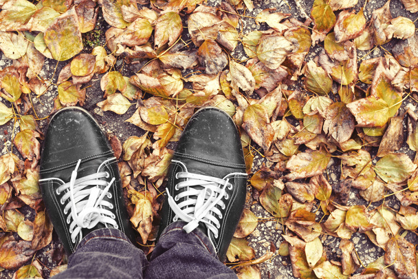 Feet Man walking on fall yellow leaves. Lifestyle, Fashion and trendy style. Advertising shoes. Autumn collection. Walk in autumn Park in rainy weather. Retro and vintage design. - Foto, imagen
