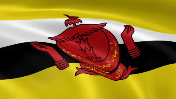 Bruneian flag in the wind - Footage, Video
