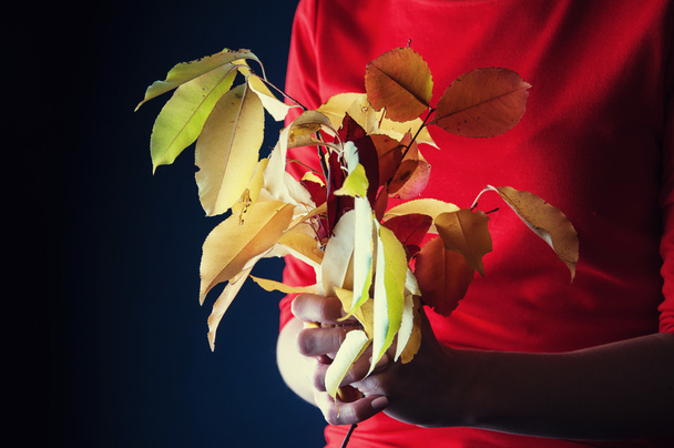 Bouquet di foglie gialle
 - Foto, immagini