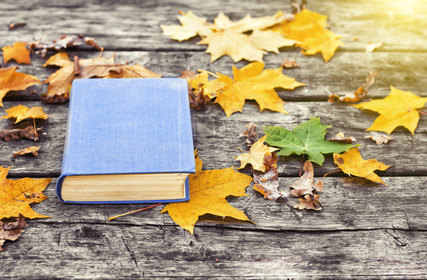 The book  on the old wooden table, covered in yellow maple leaves. Back to school. Education concept. Beautiful autumn background. Picturesque composition. Weekend in the Park. - 写真・画像