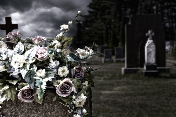 Fleurs sur des pierres tombales dans un cimetière
 - Photo, image