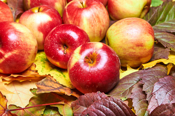 Geschenke der Natur. Äpfel und abgefallenes Laub auf einem alten Holztisch. Natur im Oktober und November. - Foto, Bild