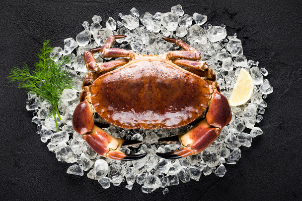 Raw crab on ice on a black stone table top view - Fotó, kép