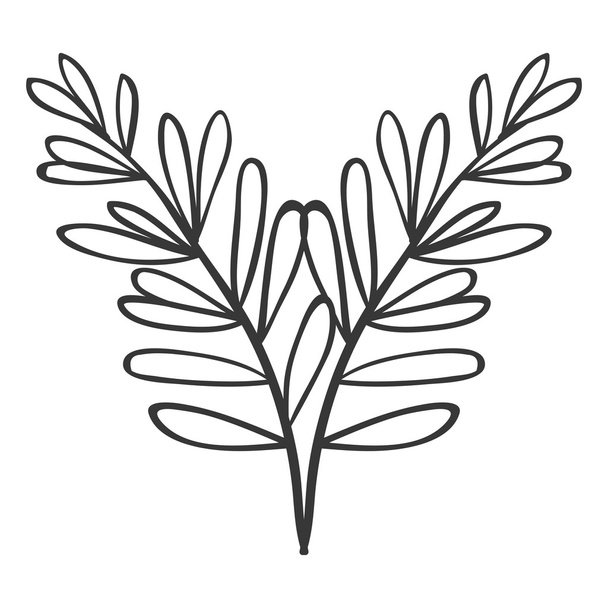 пара гілок з овальним листям
 - Вектор, зображення