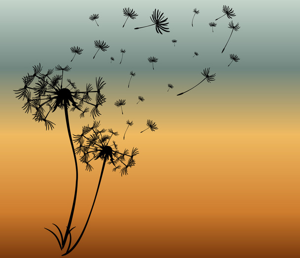 abstract card with dandelions vector background - Vector, Image