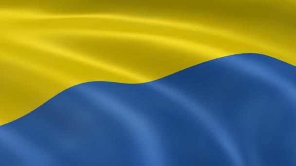 Ukrainian flag - Footage, Video