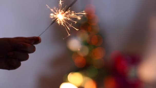 Spettacolo di mano femminile Sparklers, fuoco del Bengala, luci Bokeh sfondo dall'albero di Natale la sera
. - Filmati, video