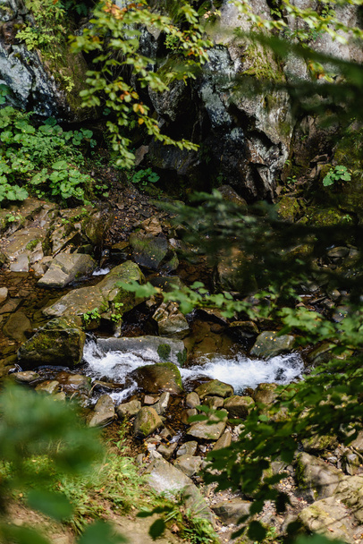 Gebirgsfluss in den Karpaten - Foto, Bild