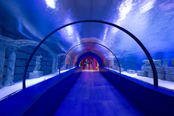 Underwater tunnel of oceanarium - Fotoğraf, Görsel