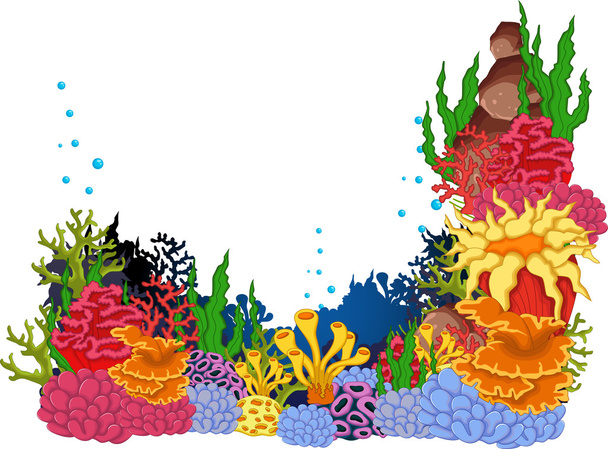 beauté coraux avec vue sous-marine arrière-plan
 - Photo, image
