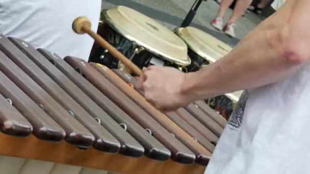 Mladý hudebník hraje xylofon - Záběry, video