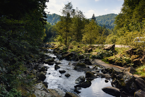 horská řeka v Karpat - Fotografie, Obrázek