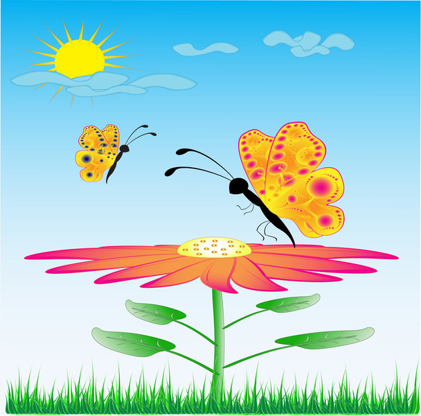 Butterflies on a background flower - Foto, imagen