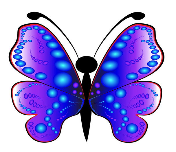 Colored butterfly - Fotoğraf, Görsel