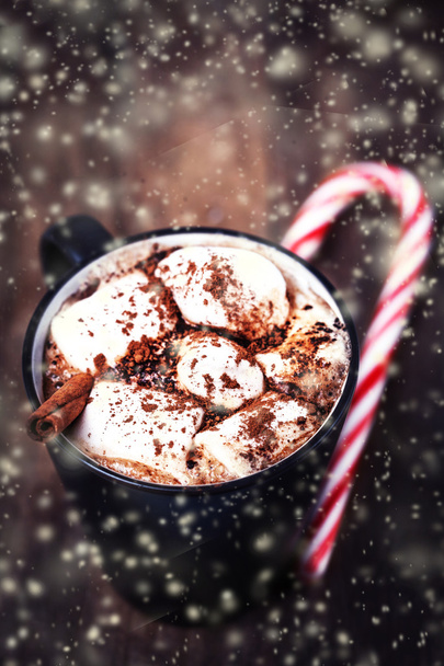 Hot chocolate with marshmallows - 写真・画像