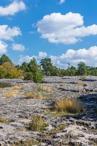 bir jeolojik rock park panorama görünümünü - Fotoğraf, Görsel