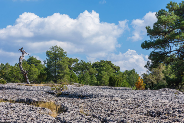 weergave van een geologische rock park panorama - Foto, afbeelding