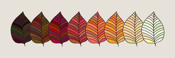 Set di foglie autunnali colorate. illustrazione vettoriale. - Vettoriali, immagini