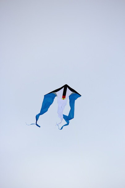 een vliegende draak - Foto, afbeelding
