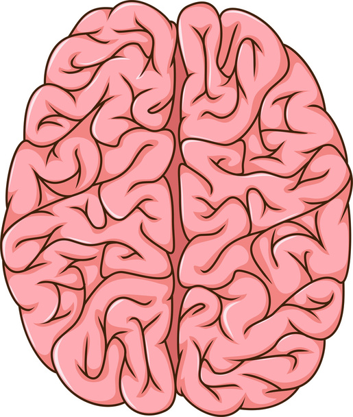 人間の左脳と右脳の漫画 - 写真・画像