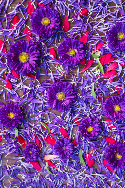 background of blue and red flowers on a wooden board - Photo, Image