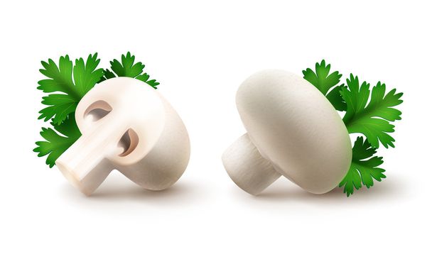 Набор свежих цельных и нарезанных наполовину белых грибов Portabello Champignons с изолированными листьями зеленой петрушки
 - Вектор,изображение